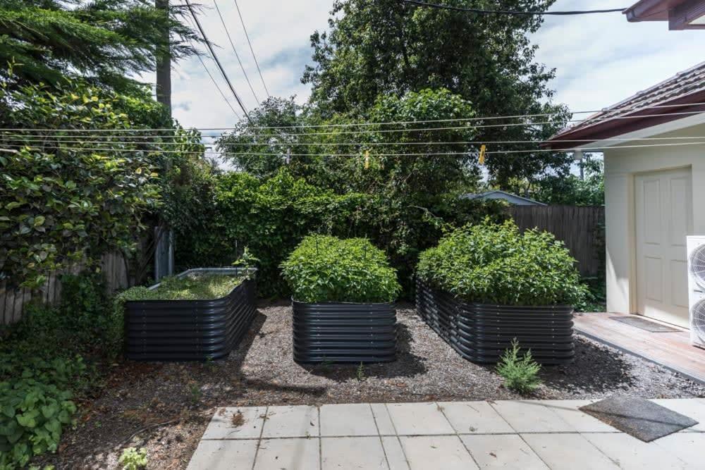 3 Bdrm 2 Bthrm House Close To Canberra Cbd & Anu 外观 照片